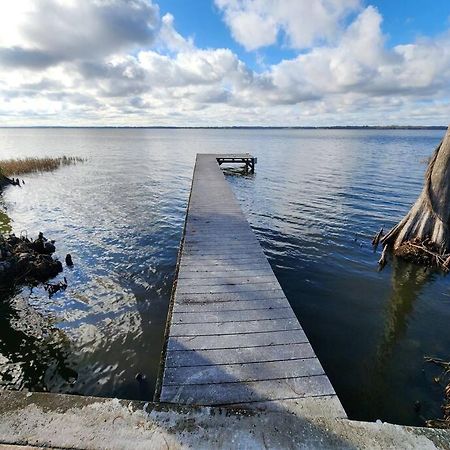 Paradise On Lake Harris Apt #202 ليسبورغ المظهر الخارجي الصورة